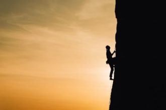 Tree climbing: a recreational and fun form of mountaineering, how to climb safely and have fun